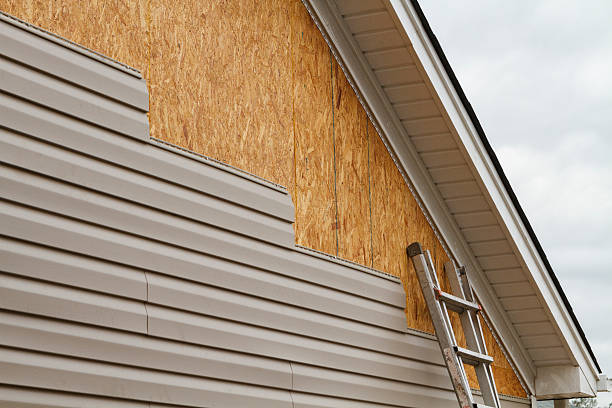 Professional Storm Damage Siding Repair technician working in Lutz, FL